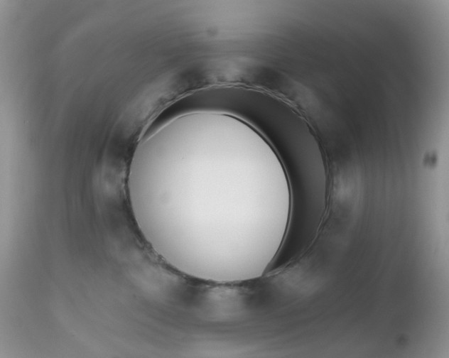 X0000112540332200908311452