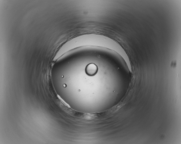 X0000112540333200908311452