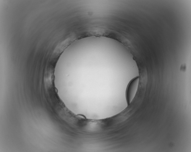 X0000112540334200908311452