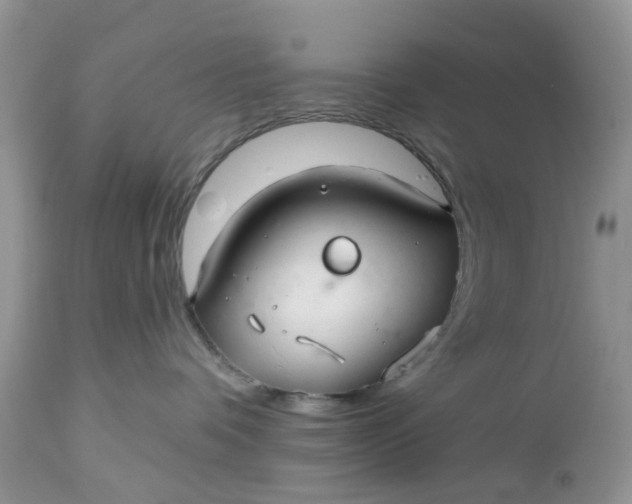 X0000112540336200908311452