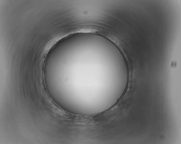 X0000112540337200908311451