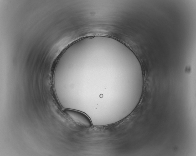 X0000112540338200908311451