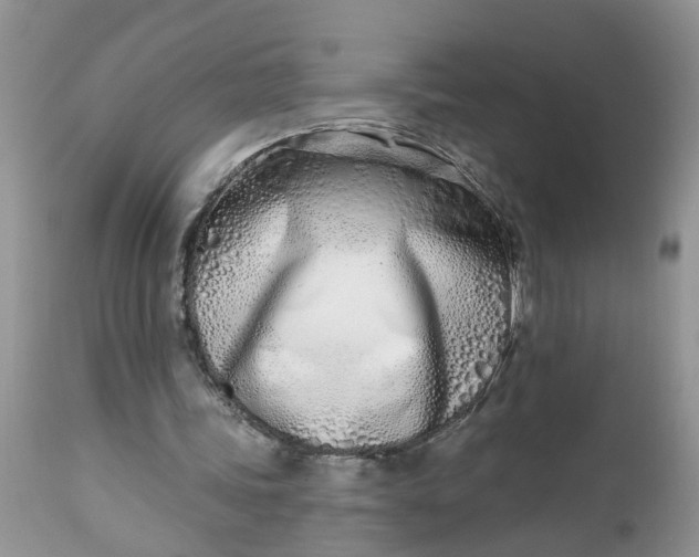 X0000112540339200908311451