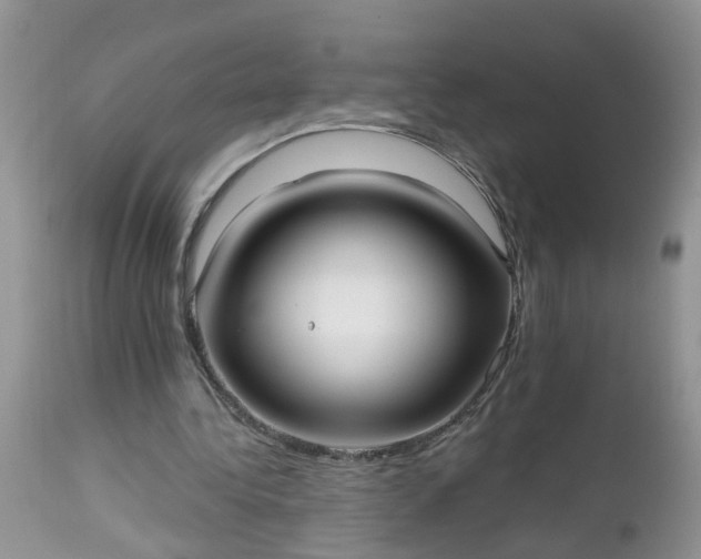 X0000112540340200908311451