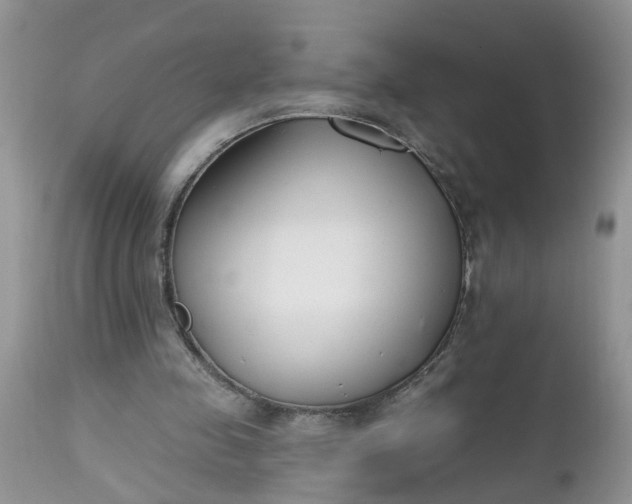 X0000112540341200908311451