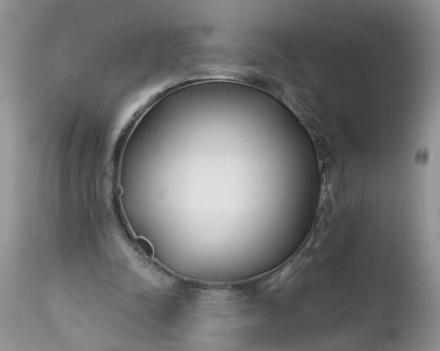 X0000112540342200908311451