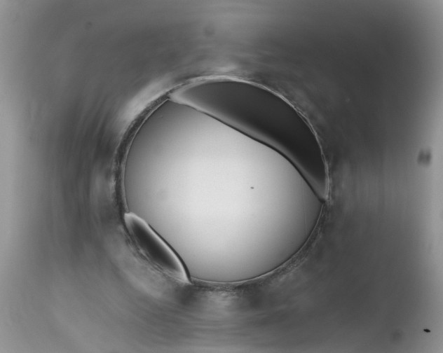 X0000112540344200908311451