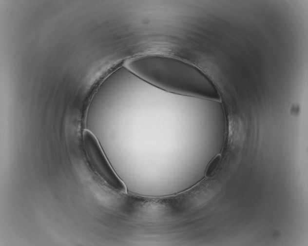 X0000112540348200908311451