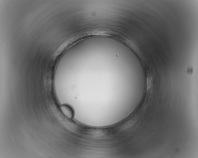 X0000112540349200908311451