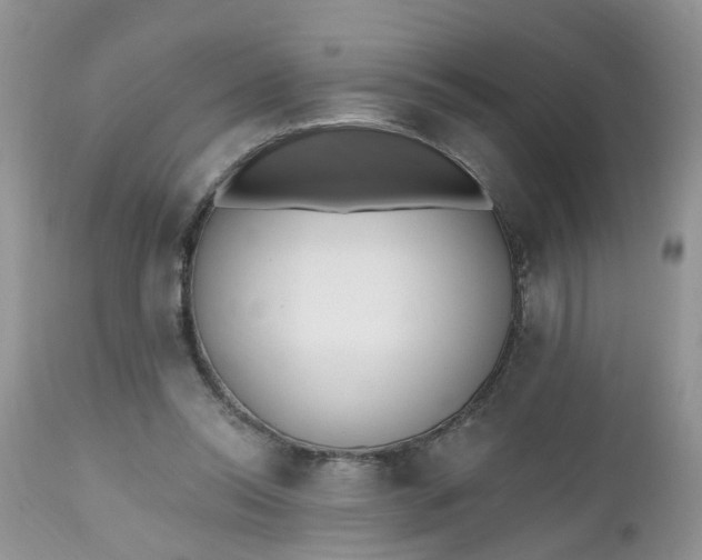 X0000112540350200908311452