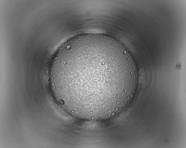 X0000112540351200908311452