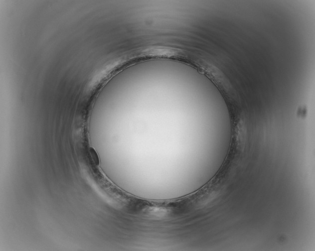 X0000112540352200908311452