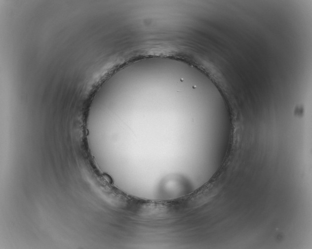 X0000112540354200908311452