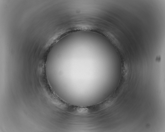 X0000112540355200908311452