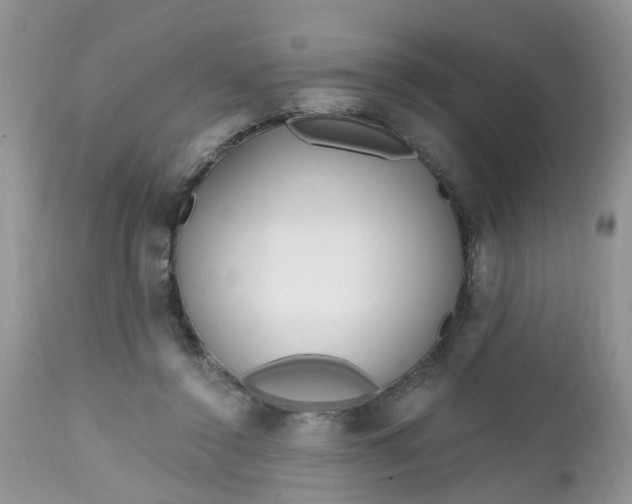 X0000112540356200908311452