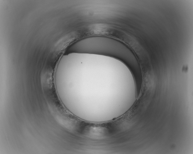 X0000112540360200908311452