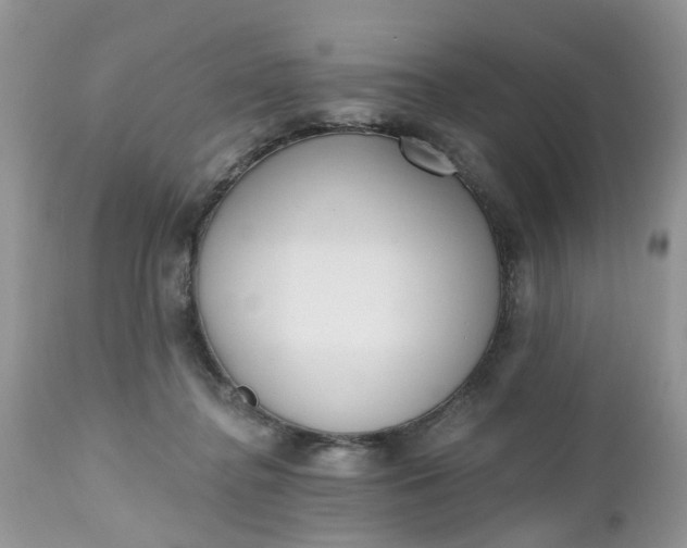 X0000112540364200908311452