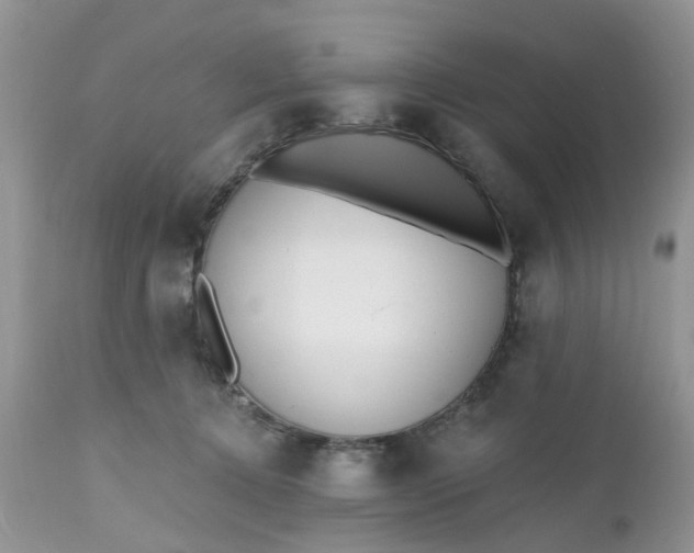 X0000112540368200908311452