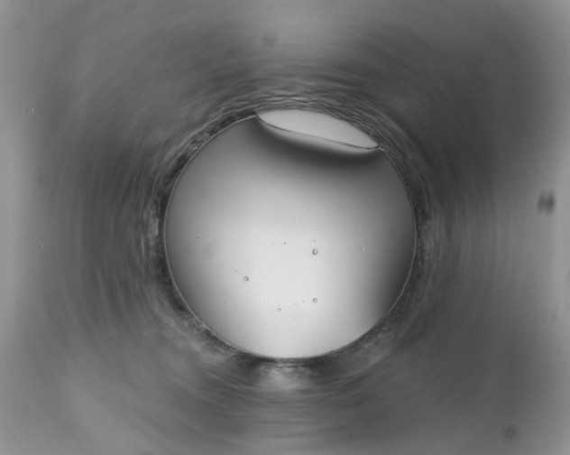 X0000112540372200908311452