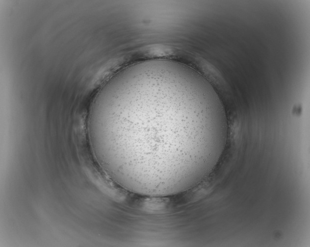 X0000112540373200908311452