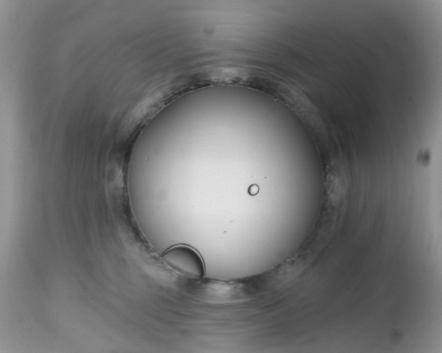 X0000112540375200908311452