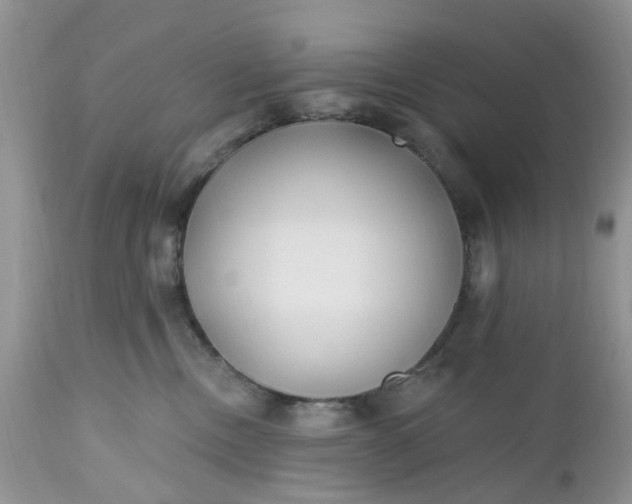 X0000112540378200908311452