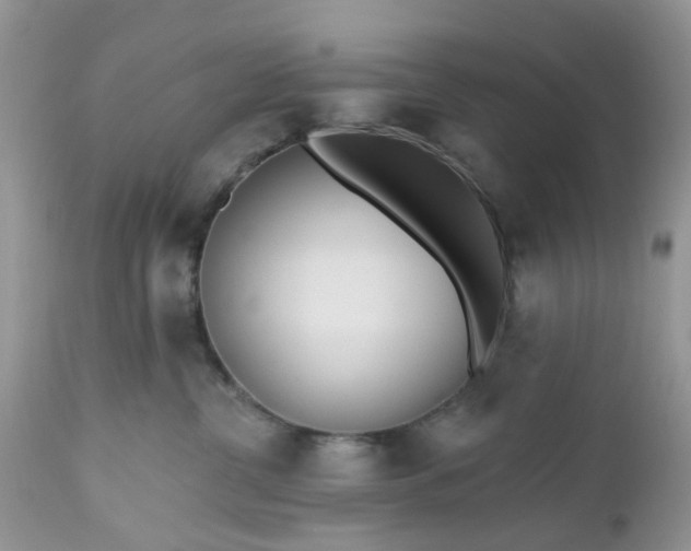 X0000112540380200908311452