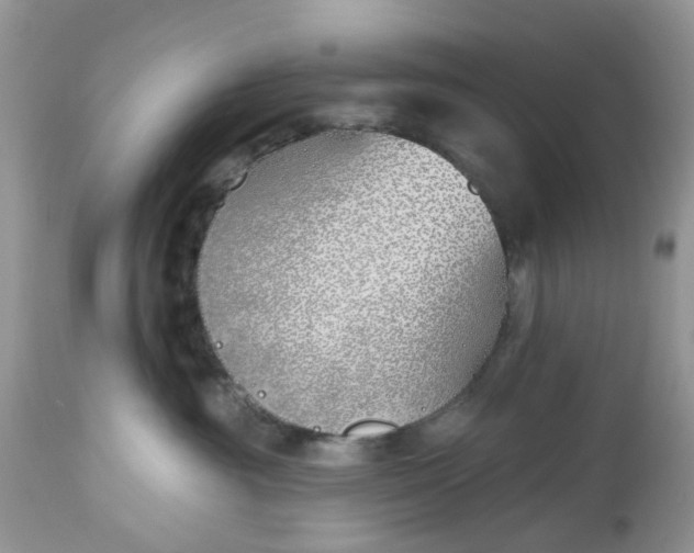 X0000112540381200908311452