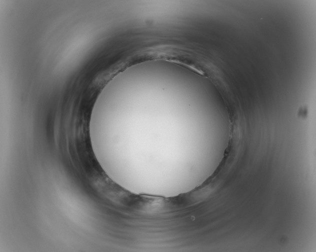 X0000112540382200908311452