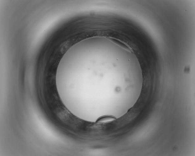 X0000112540383200908311452