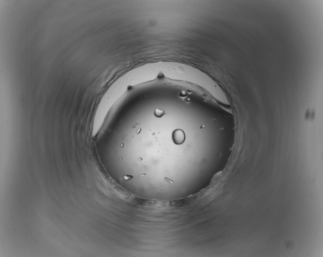 X0000112540384200908311452