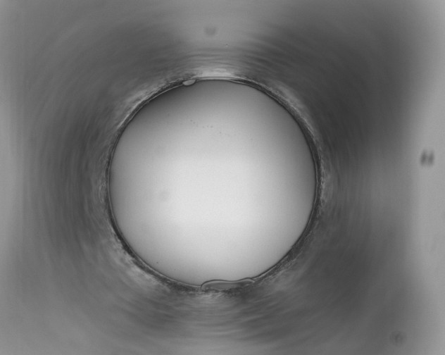 X0000112540385200908311451