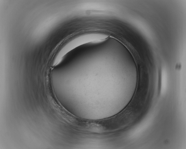 X0000112540387200908311451