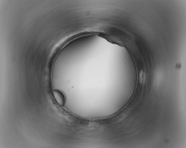 X0000112540388200908311451