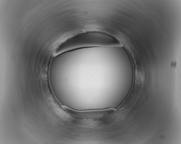 X0000112540389200908311451