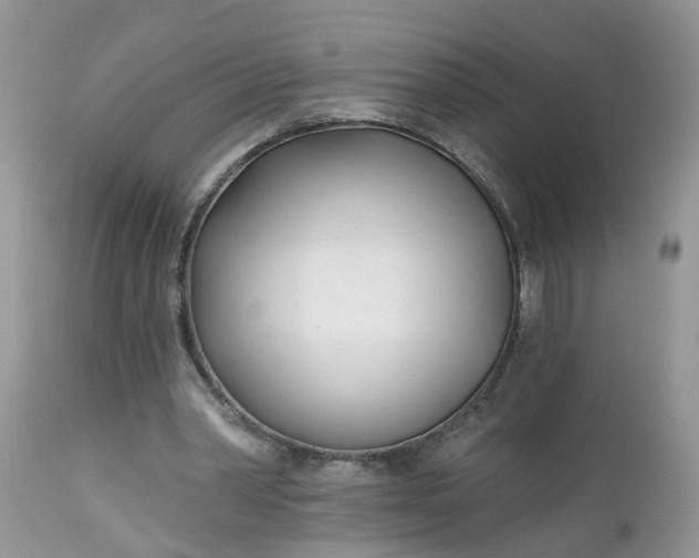 X0000112540390200908311451