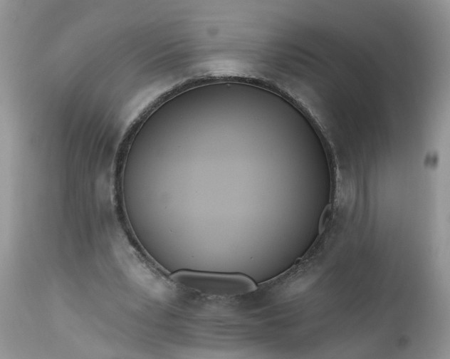 X0000112540391200908311451