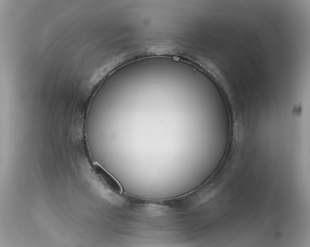 X0000112540393200908311451
