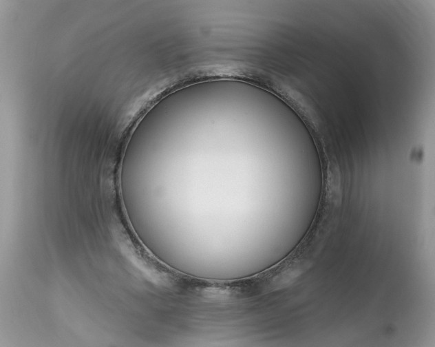 X0000112540394200908311451