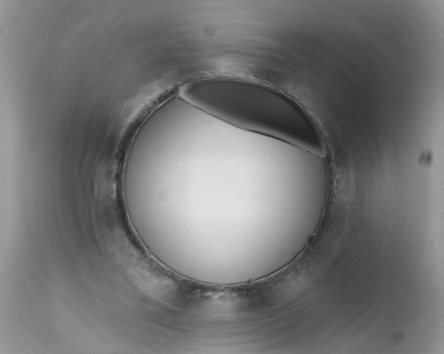 X0000112540395200908311451