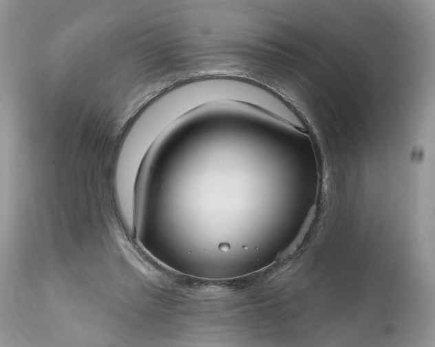 X0000112540397200908311451
