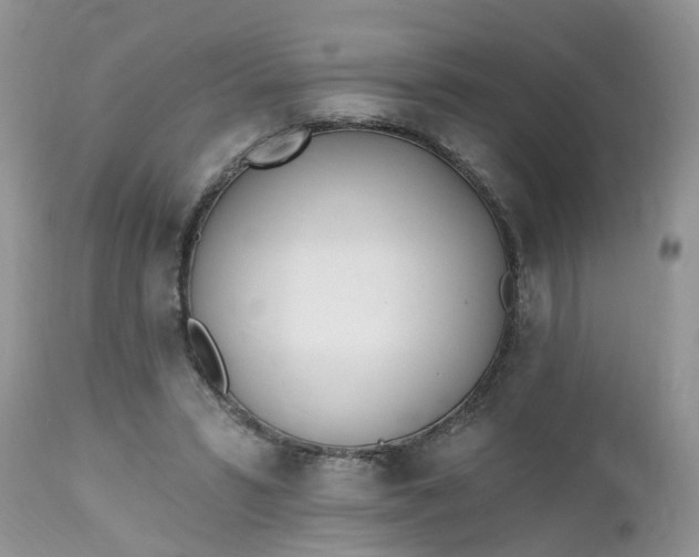 X0000112540399200908311451