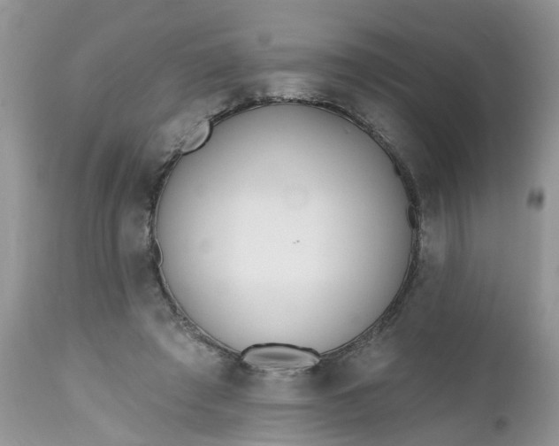 X0000112540401200908311451