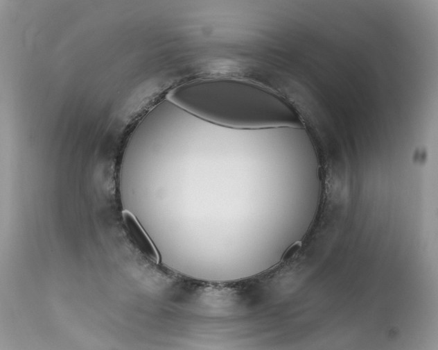 X0000112540403200908311451