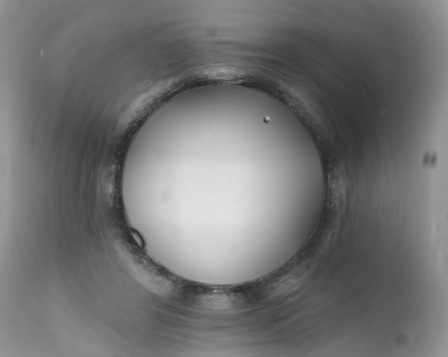 X0000112540404200908311451