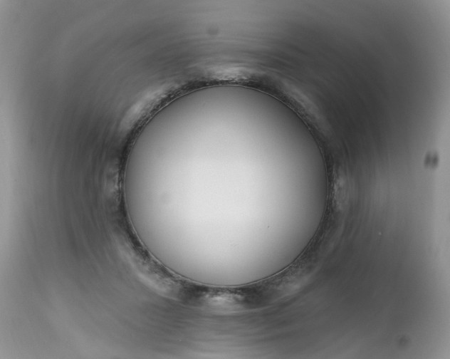 X0000112540407200908311451