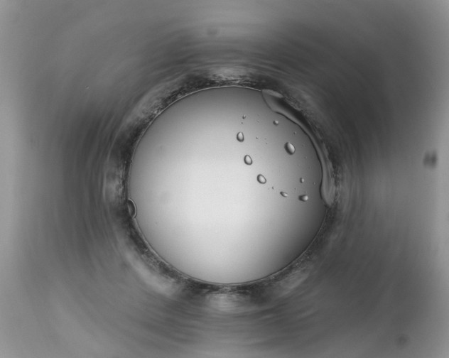 X0000112540408200908311451