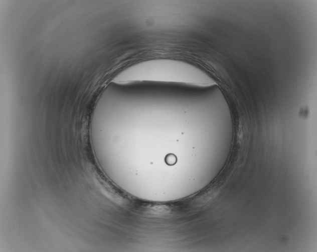 X0000112540409200908311451