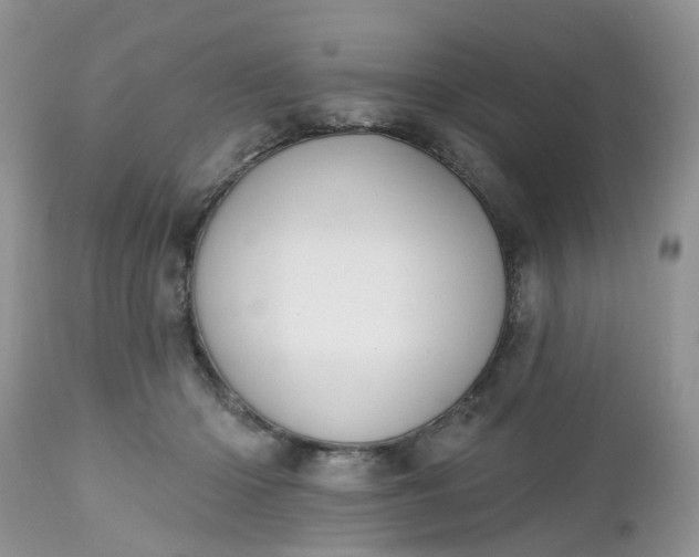 X0000112540414200908311451