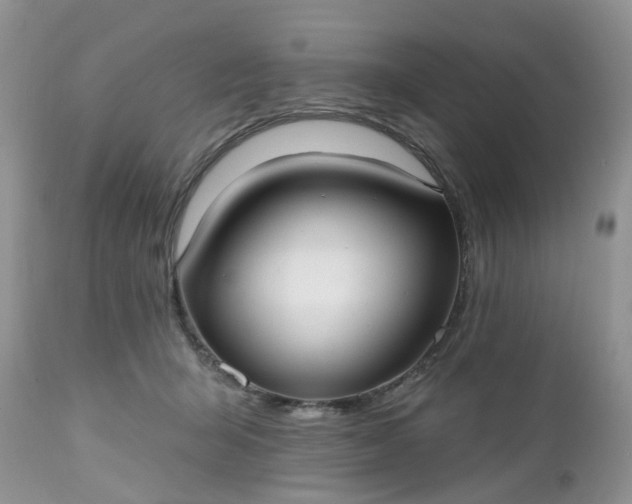 X0000112540415200908311451